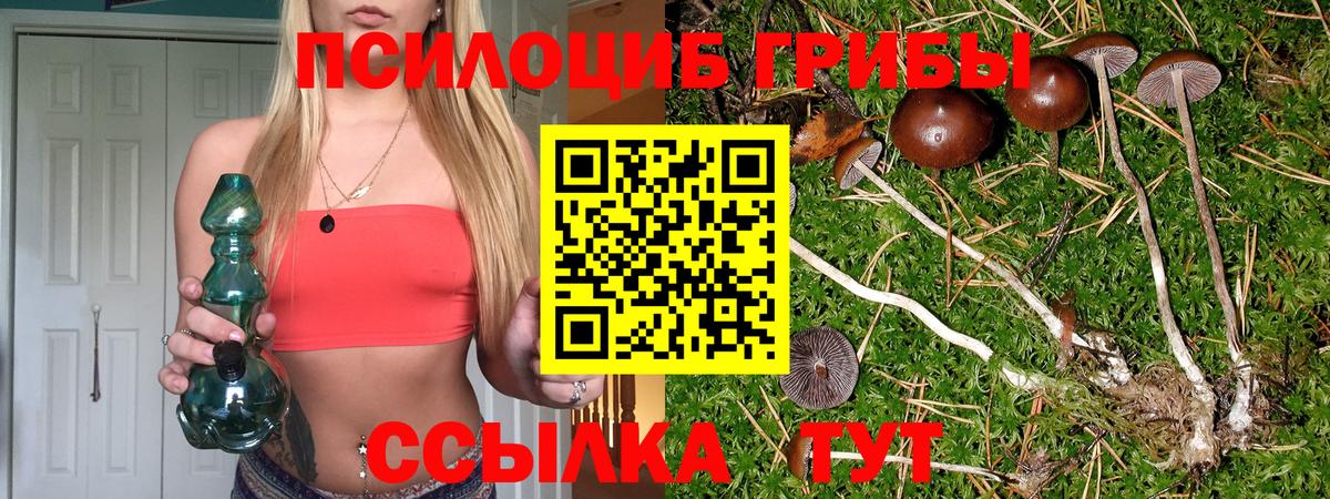 Псилоцибиновые грибы прущие грибы  Псилоцибиновые грибы MAGIC MUSHROOMS  Семёнов  Вход с VPN 